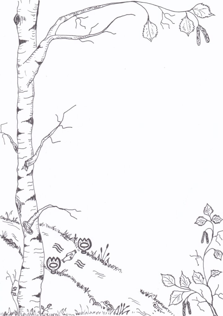 ein kurzer Blick auf die Geschichte ältester Verein von 1884 Tradition trifft auf Modere , heutiges Wirken , Geselligkeit Frohsinn Kameradschaft Birke der Urkunde des Familienvereins Concordia zu Winzeldorf und Bönningstedt